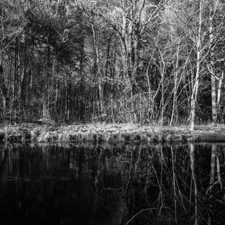 Andreas Kern, Fotografie, fotografiera, Wald und Wasser 2, Natur, Wald, Wasser, Fluss, Kanal